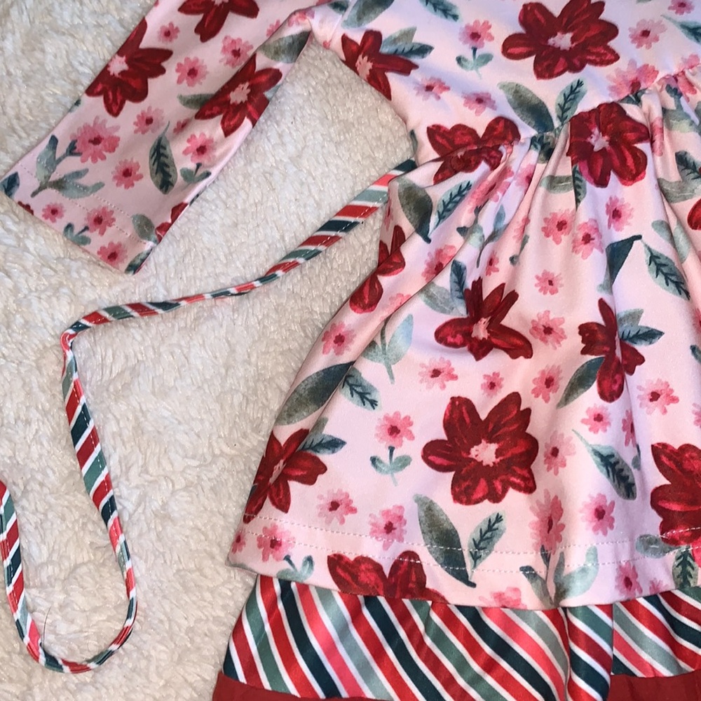 NWT Cheeky Plum Myra Dress 6-12M Poinsettia Parade Red & White Floral - Picture 6 of 12